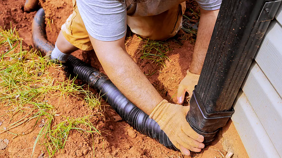 Downspout flushing and buried clay drain line check Nicholasville Kentucky Jessamine County older brick home Kevin Bluegrass yard