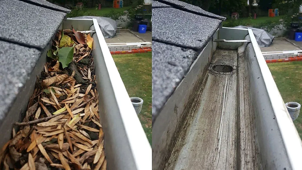 Gutter cleaning before and after in Nicholasville Kentucky Jessamine County red maple helicopter seeds oak leaves brick ranch home Kevin documentation